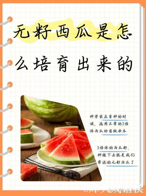 全面探索51吃瓜：深入了解其内在奥秘